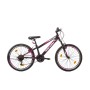 BICI MTB 21 VEL. LUNA 24"