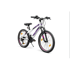 BICI MTB 7 VEL. LUNA 20"