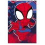 PLAID IN PILE SPIDEY